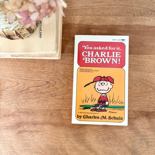 Bande dessinée - Charlie Brown