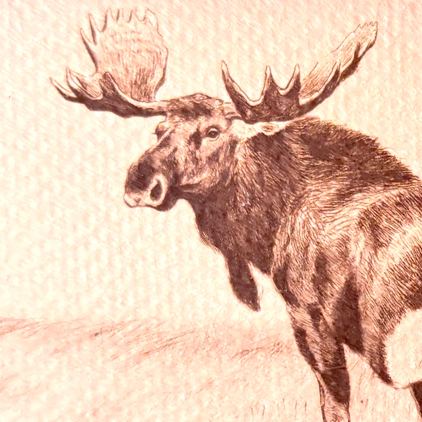 Cadre vintage avec impression sur papier beaux-arts - L'orignal