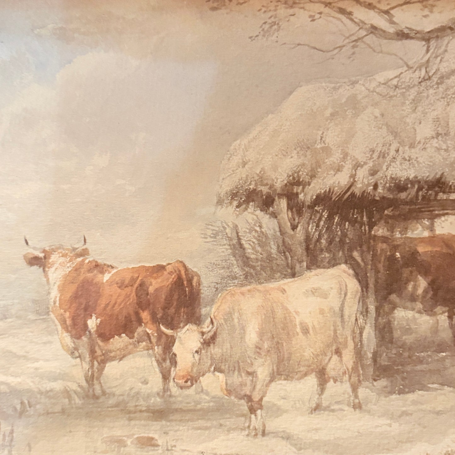 Canvas print - The cellist