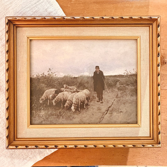 Canvas print - The cellist