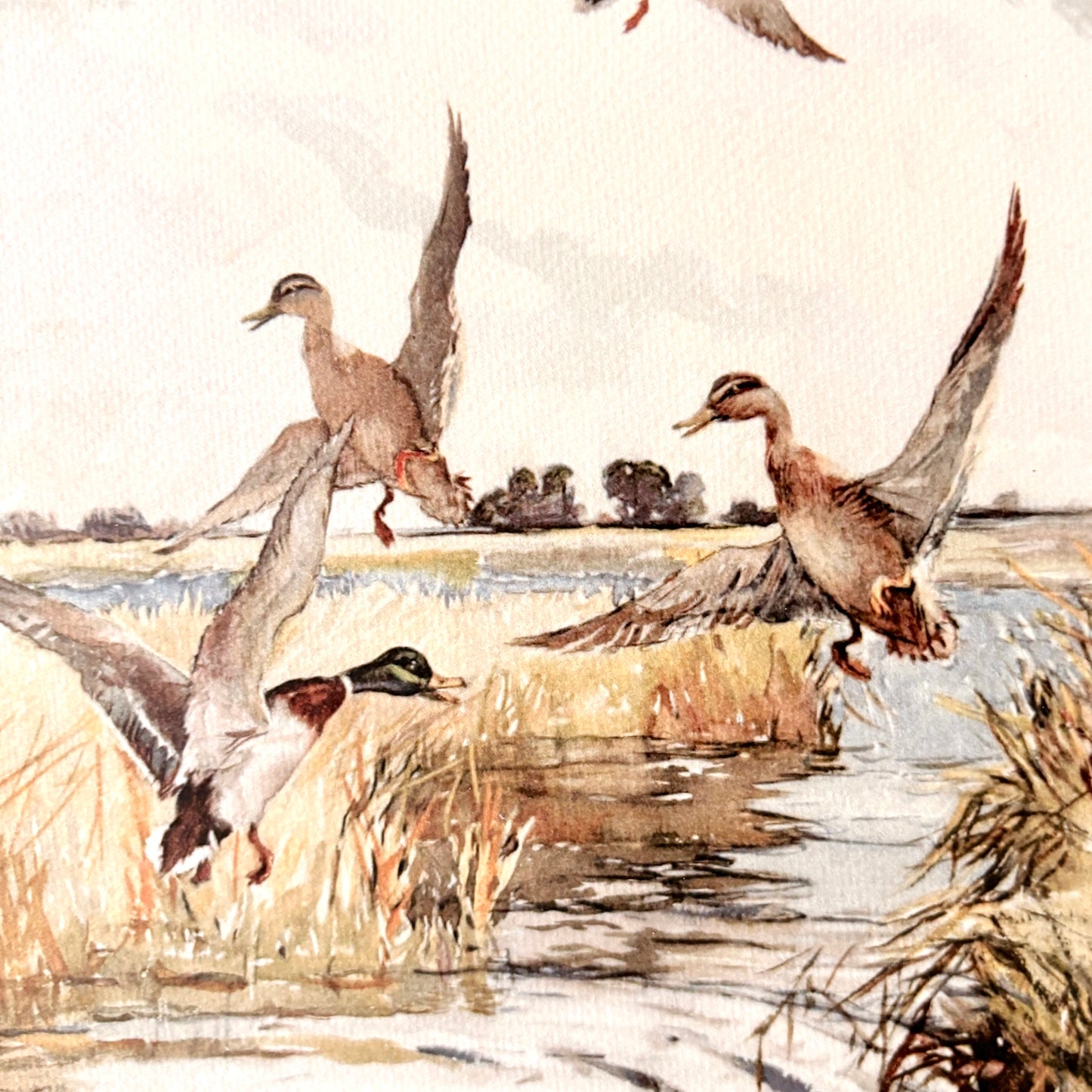 Cadre vintage avec impression sur papier beaux-arts - La baignade