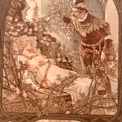 Canvas print - The cellist