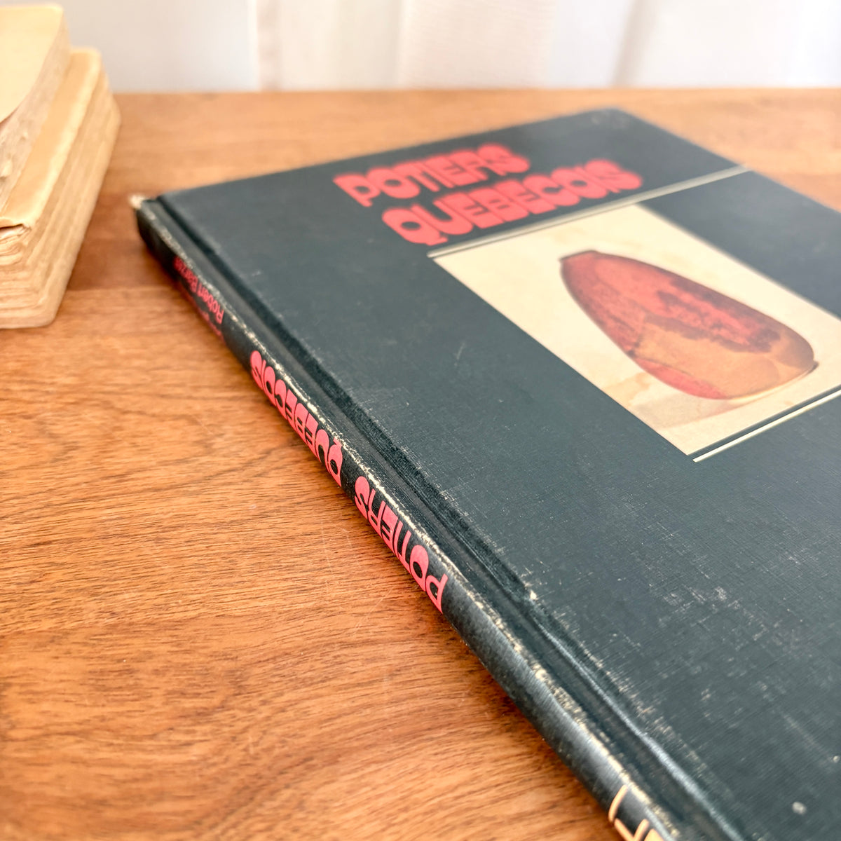 Livre - Potiers québécois
