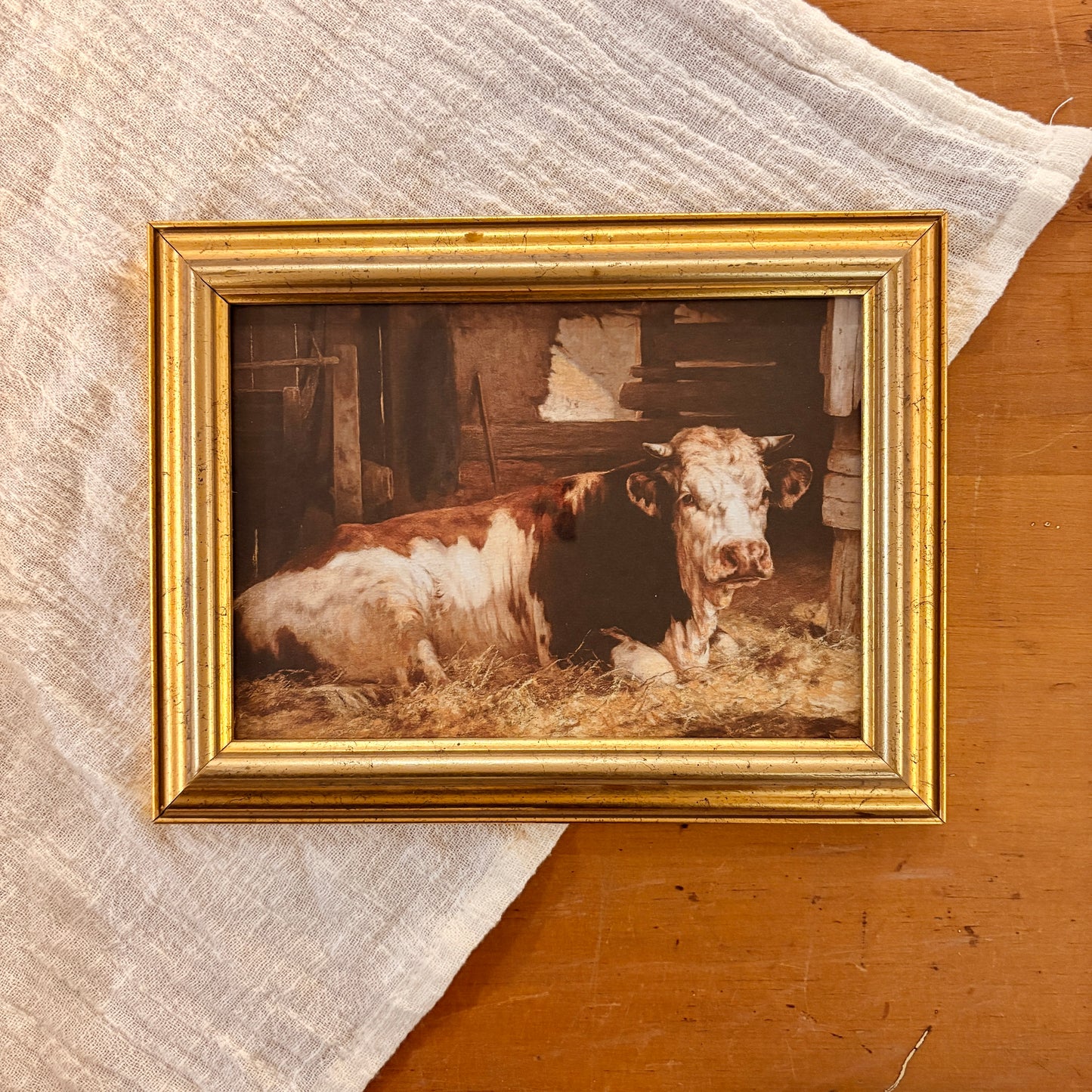 Canvas print - The cellist