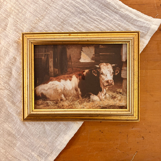 Canvas print - The cellist