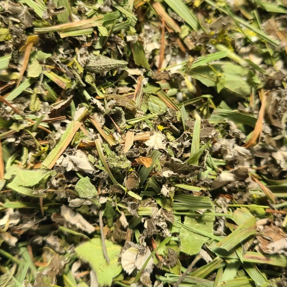 Tisane La Gitane
