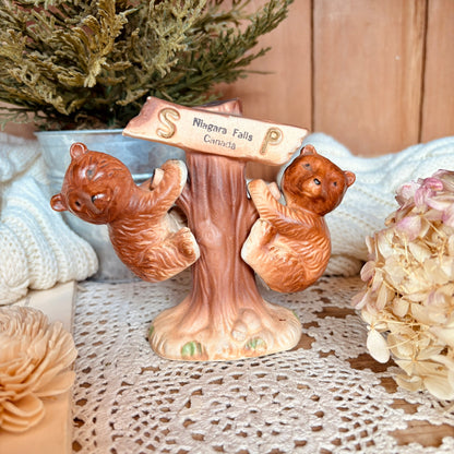 Teddy bear salt and pepper shakers