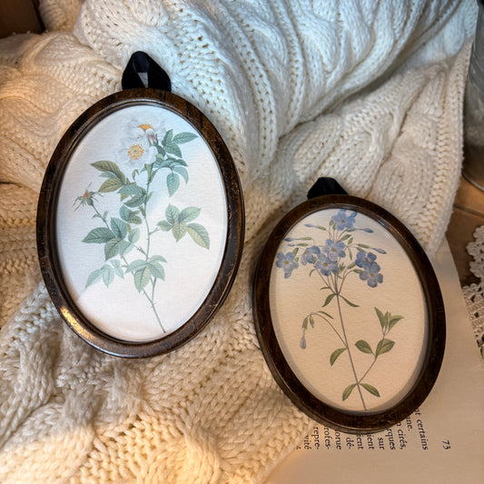 Duo de cadres ovales