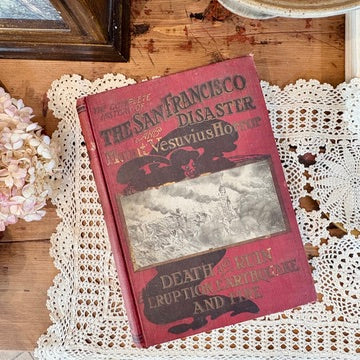 Book - The San Francisco disaster 1906
