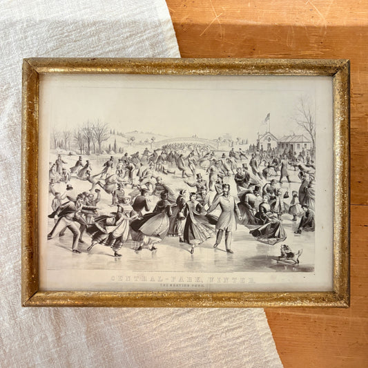 Canvas print - The cellist