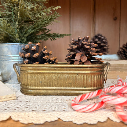 Jardinière en laiton