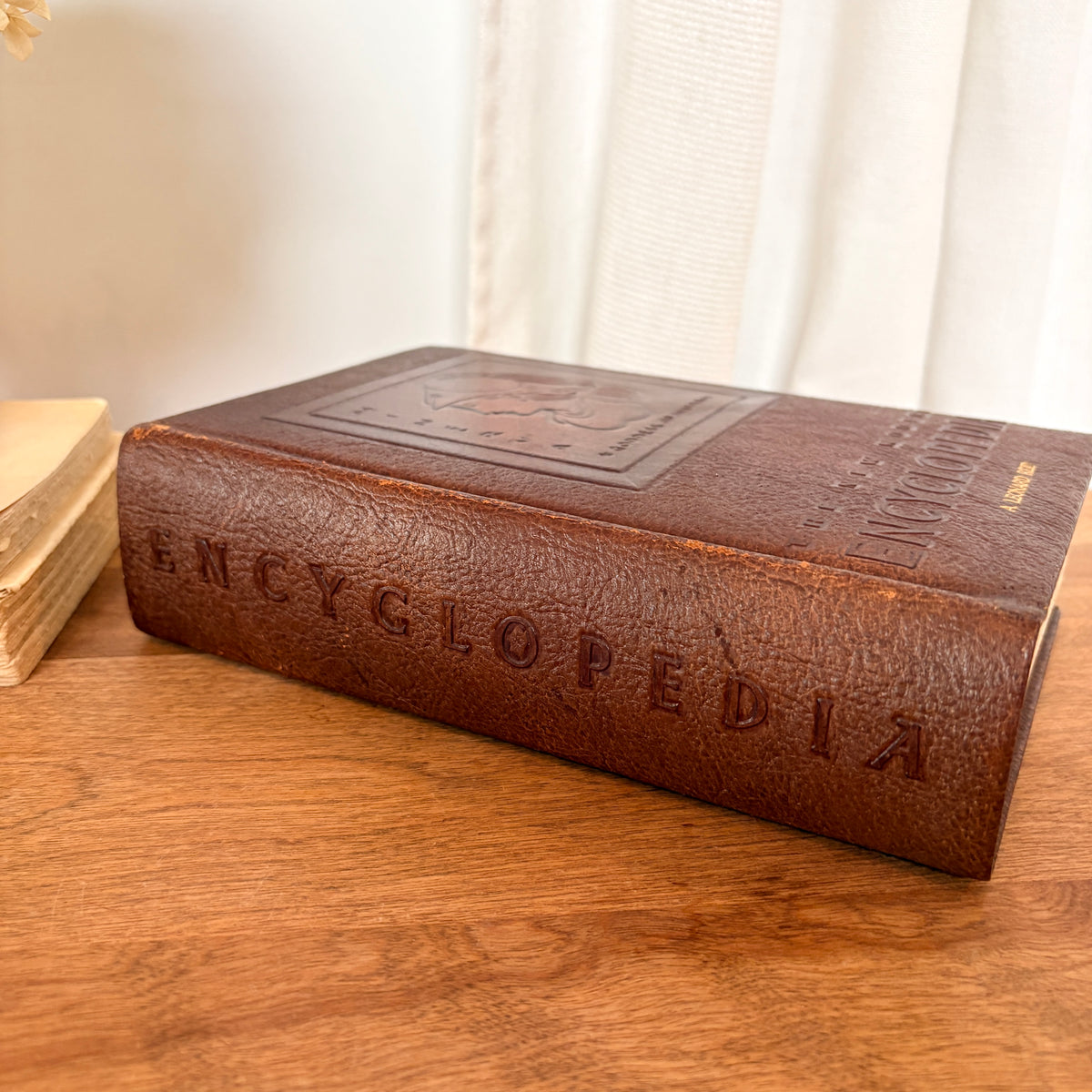 Livre - The new modern encyclopedia