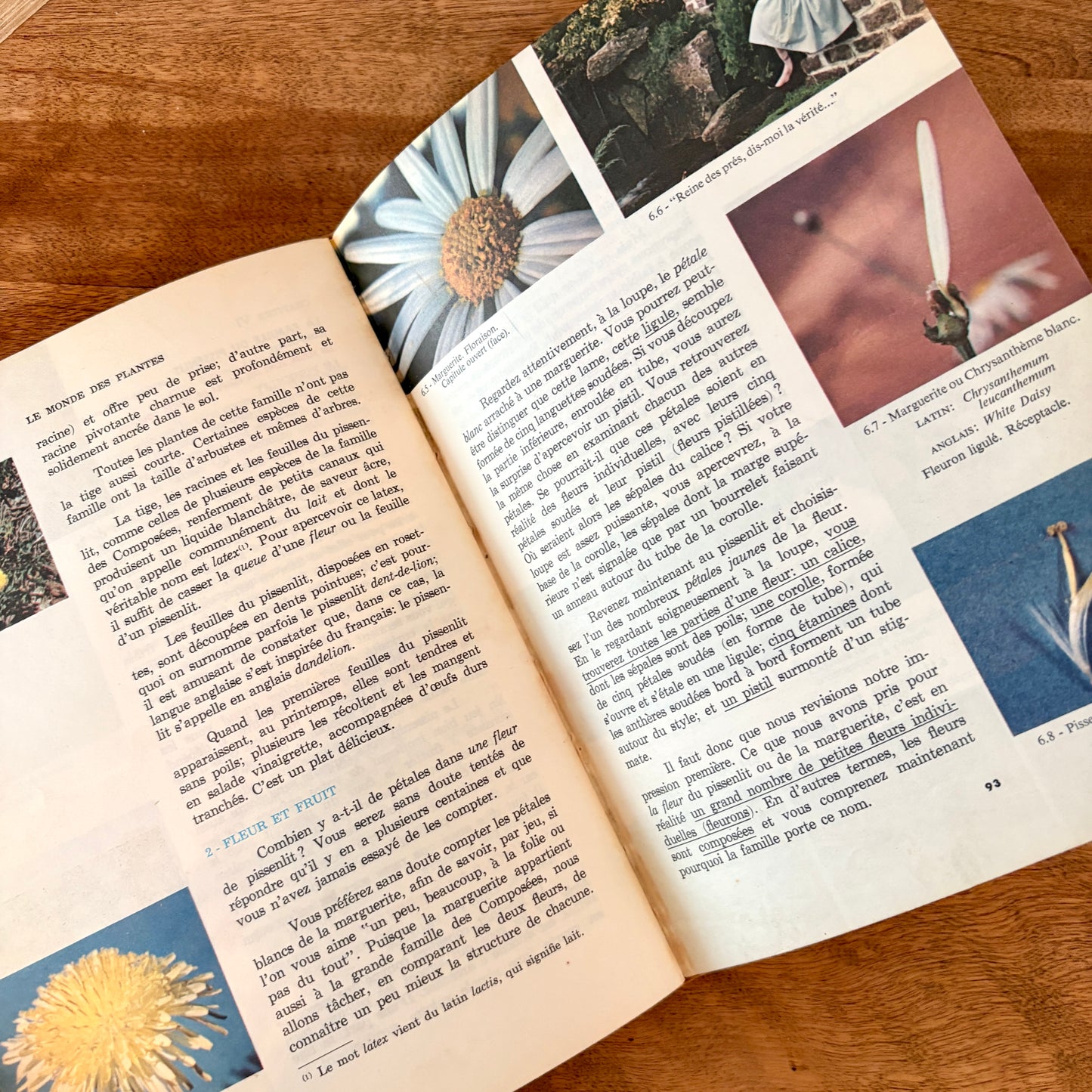 Livre - Le monde des plantes