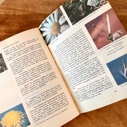 Livre - Le monde des plantes