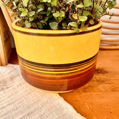 Striped plant pot