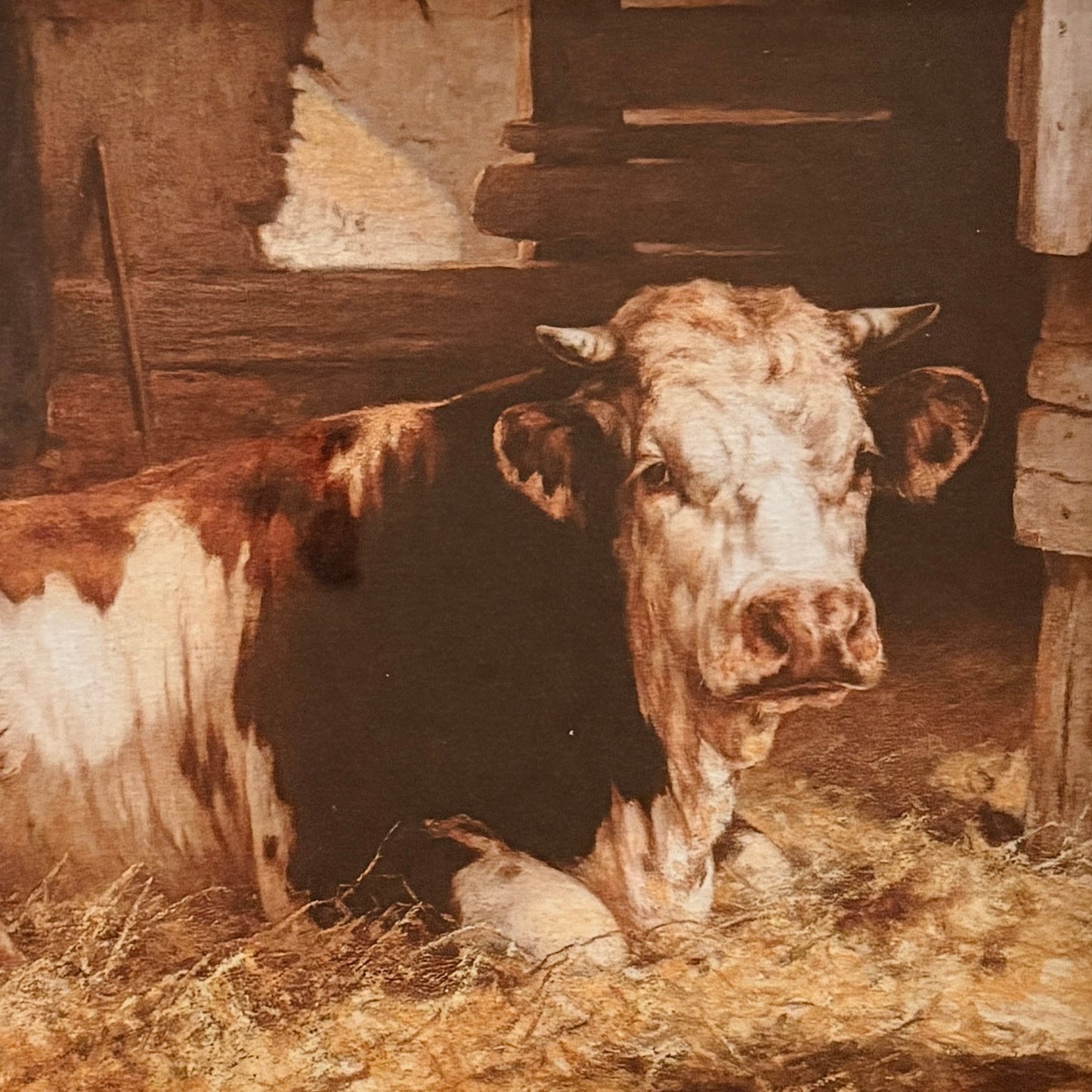 Canvas print - The cellist