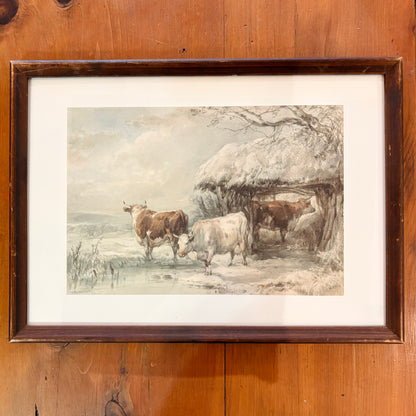 Canvas print - The cellist