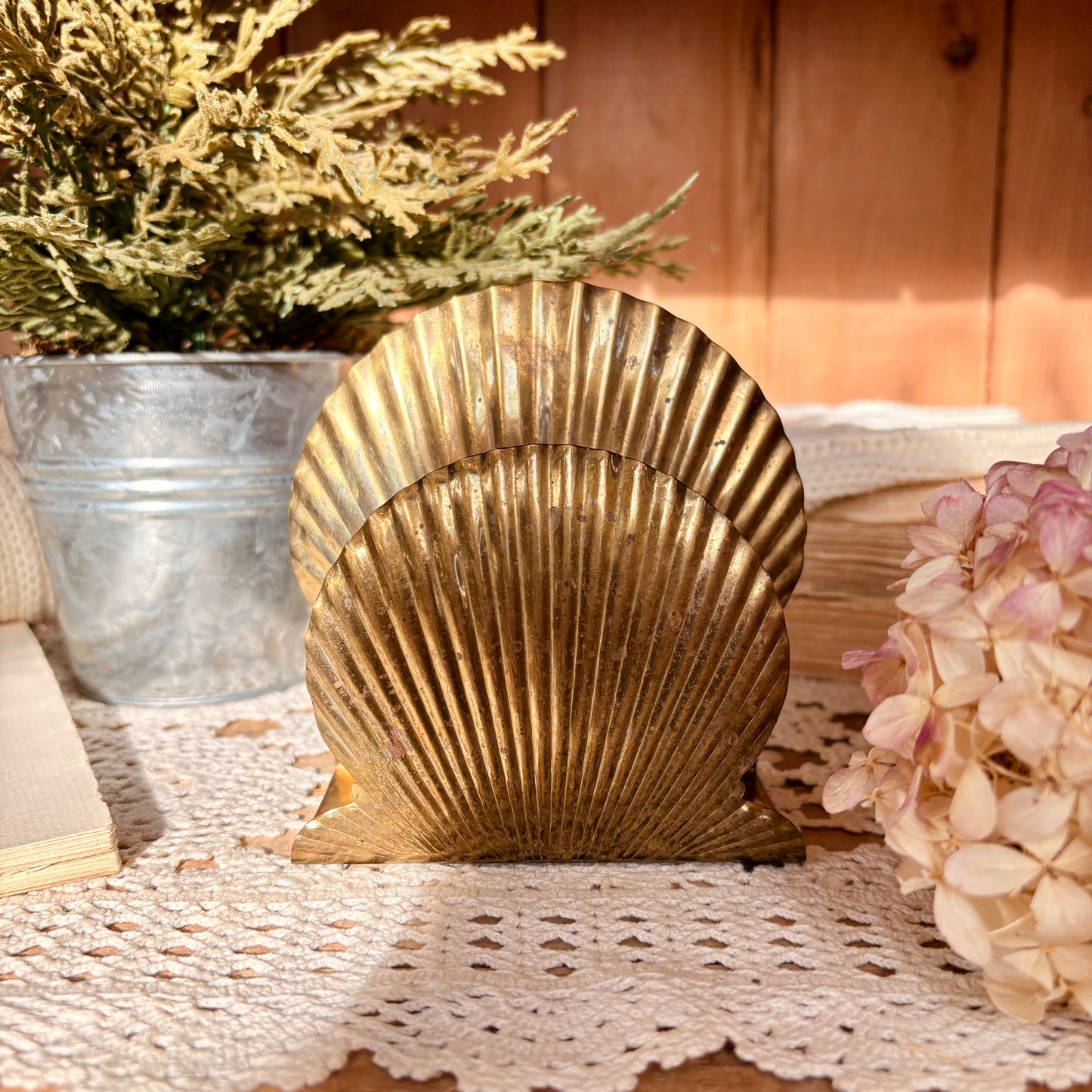 Porte-serviette coquillage