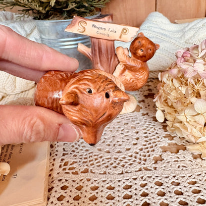 Teddy bear salt and pepper shakers