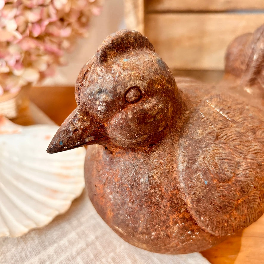 Cast iron bird