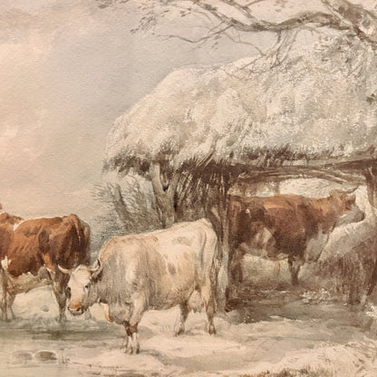 Canvas print - The cellist