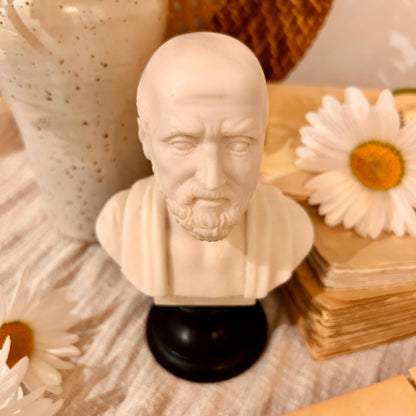 Hippocrates Bust