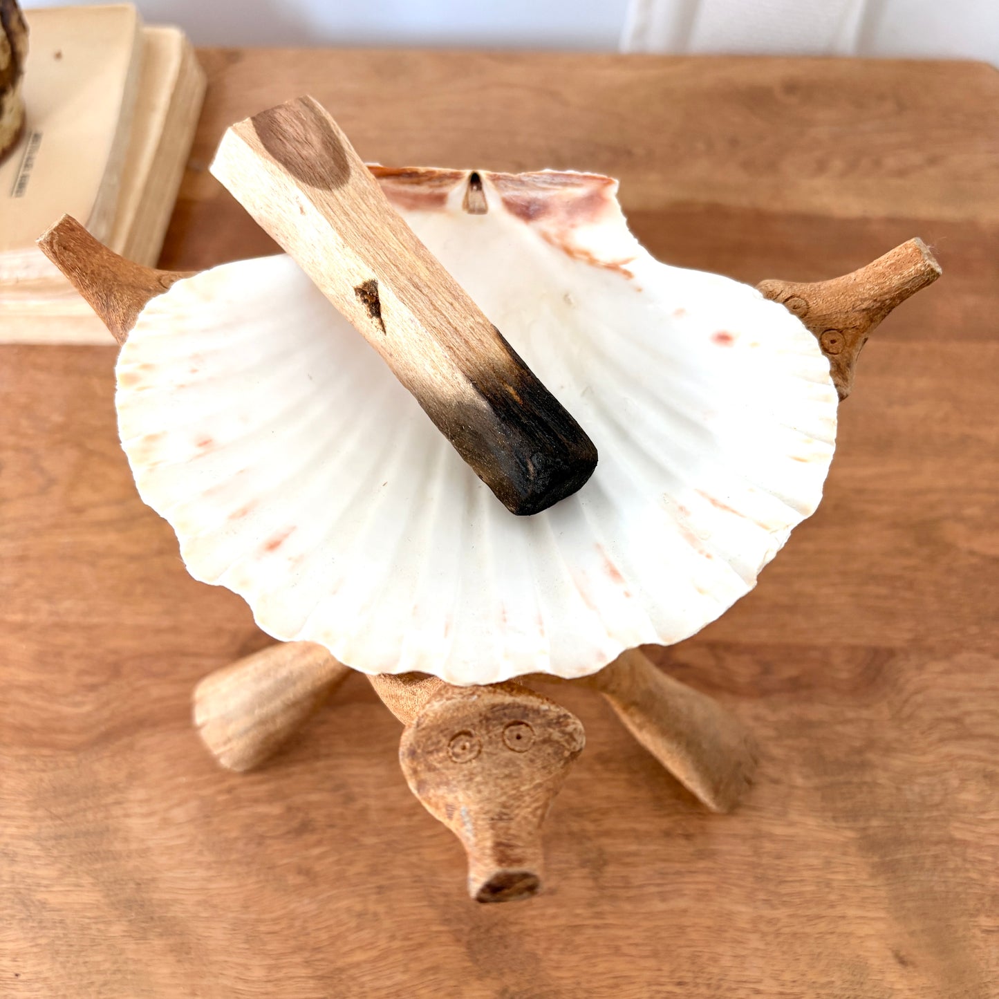 Porte-encens coquillage