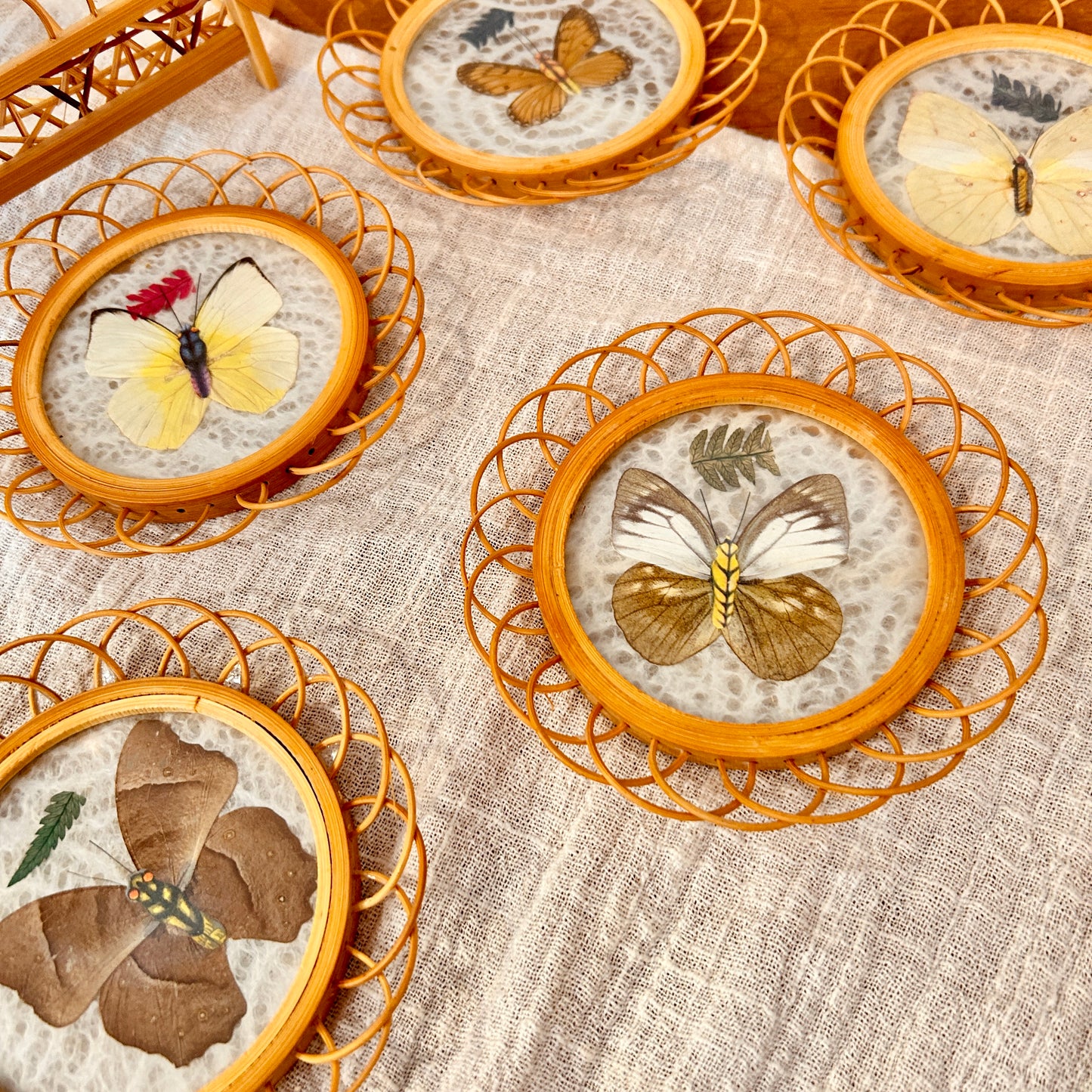 Butterfly coasters