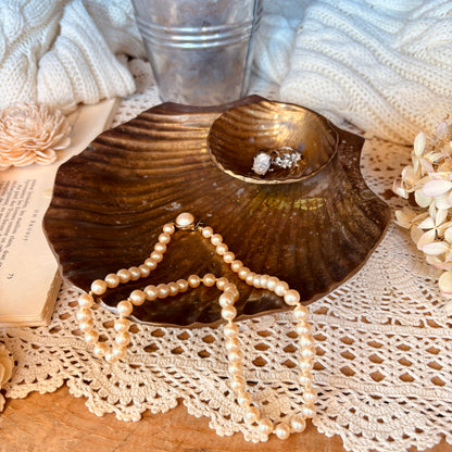 Brass shell trinket dish