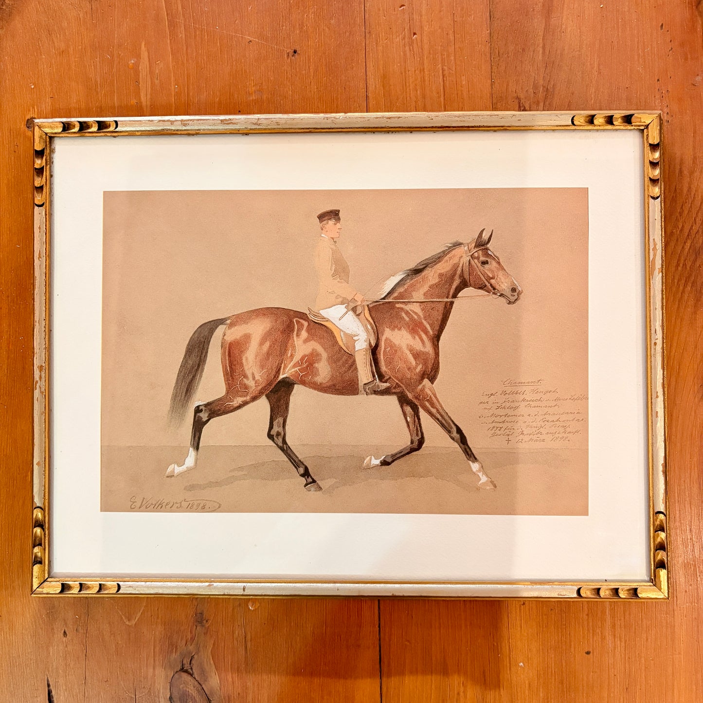 Canvas print - The cellist