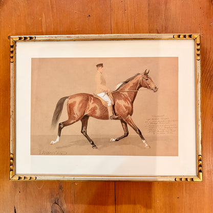 Canvas print - The cellist