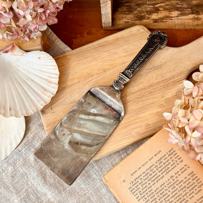 Silver-plated spatula