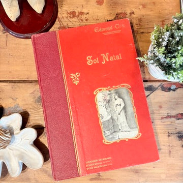 Livre - Sol Natal