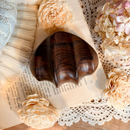 Coffret coquillage