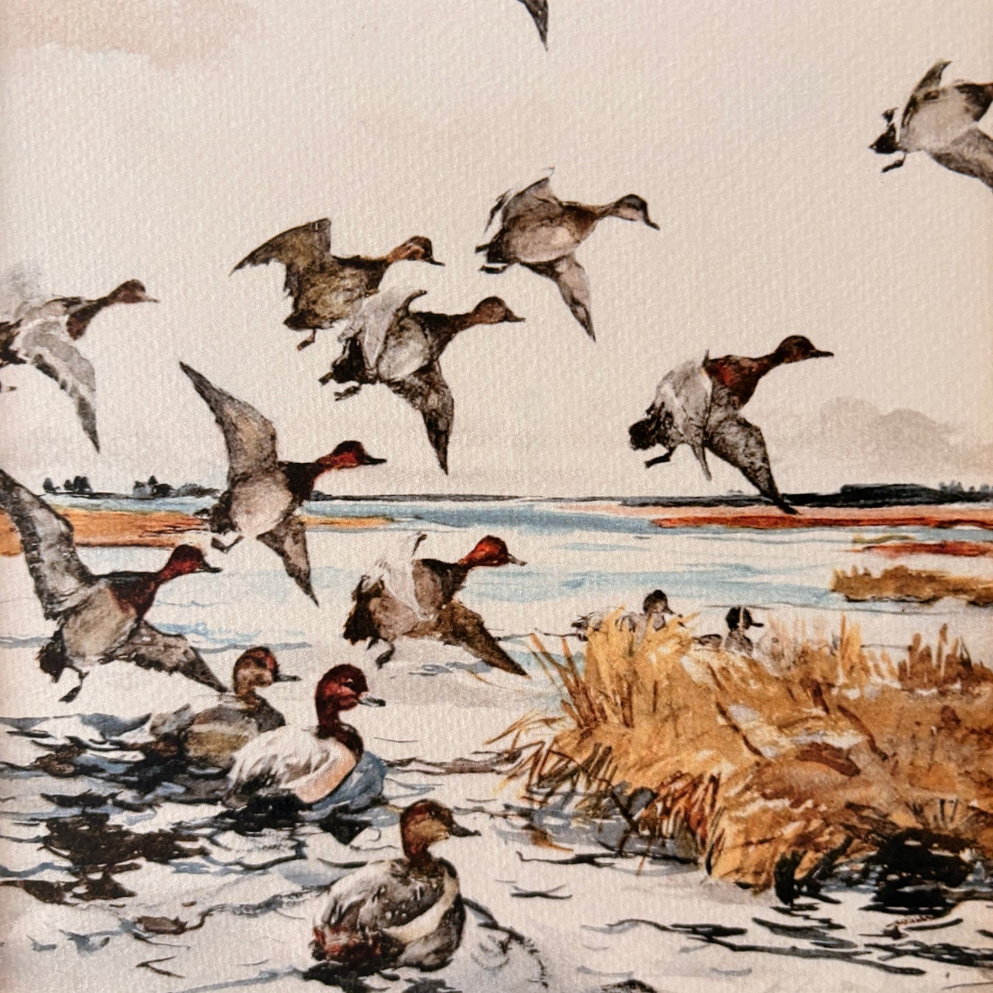 Cadre vintage avec impression sur papier beaux-arts - L'envolée