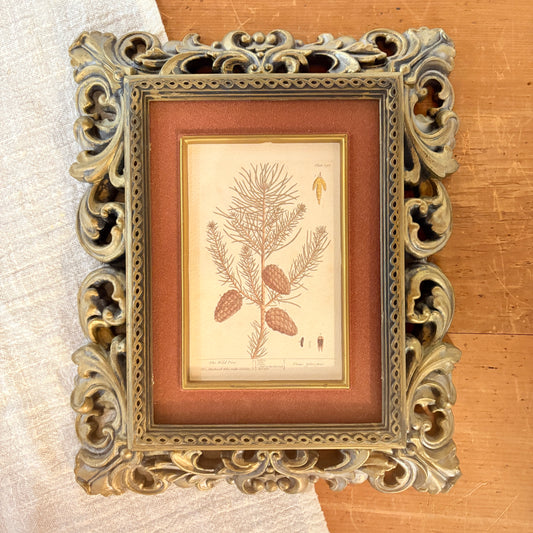 Canvas print - The cellist