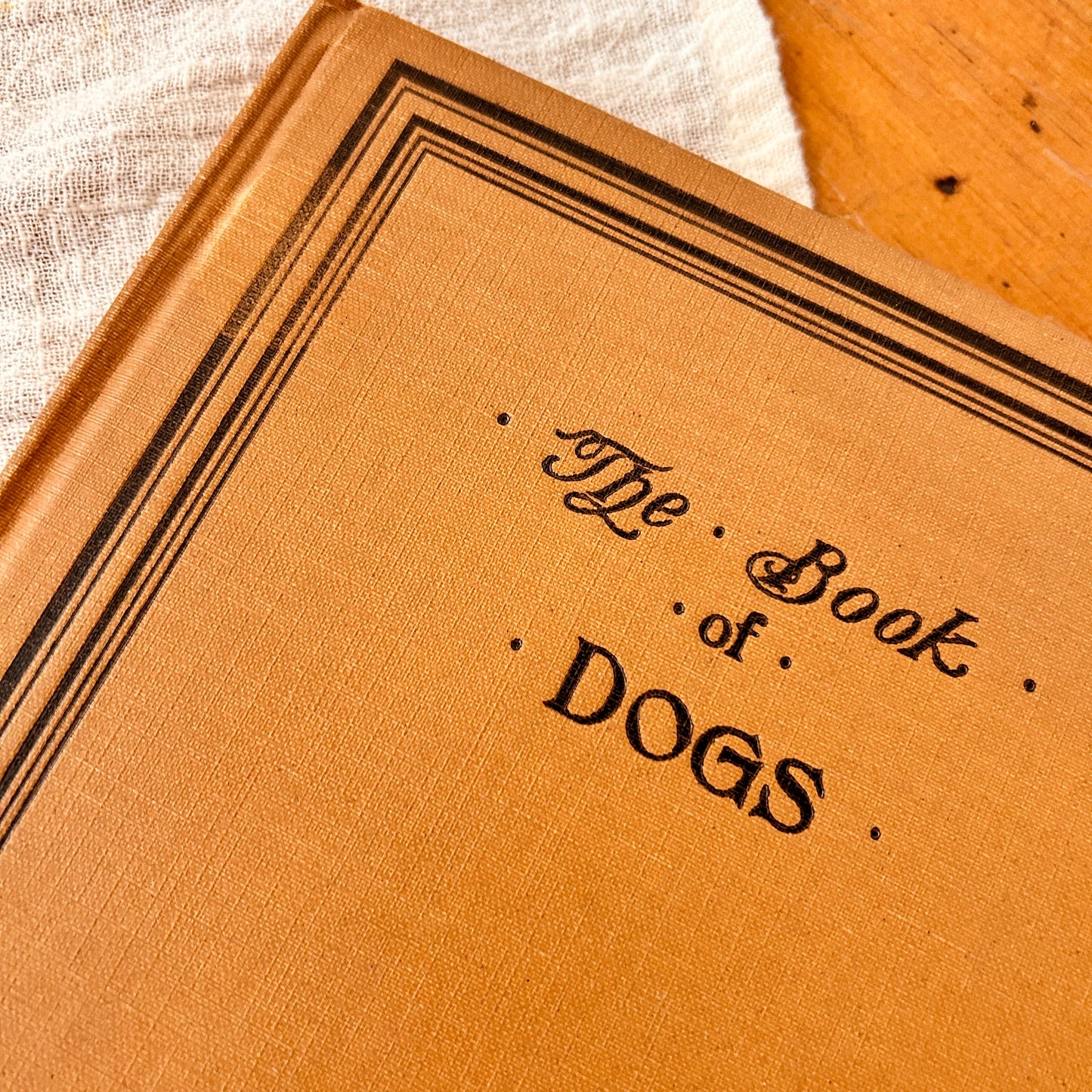 The book of dogs