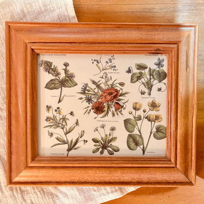 Canvas print - The cellist