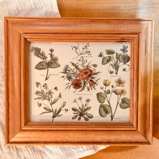 Canvas print - The cellist