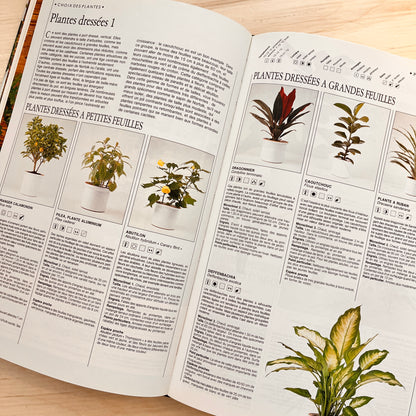 The Big Book of Flowers, Plants and Indoor Gardens